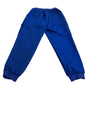 Women Royal Blue Pant