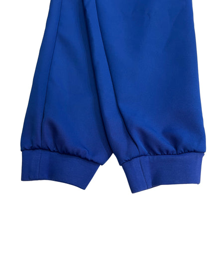 Women Royal Blue Pant